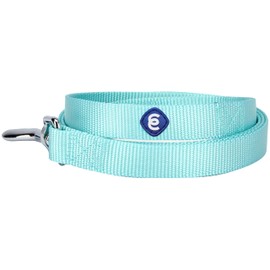 Blueberry Pet Essentials Durable Classic Dog Leash | Basic Nylon Dog Leash | 5ft. x 3/8" X-Small Dog Leash | Mint Blue Dog Leash | Standard Dog Leashes & Lightweight Dog Leash for Training