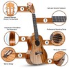 Hricane Professional Concert Ukulele 23 Inch for Adults, Koa Acacia