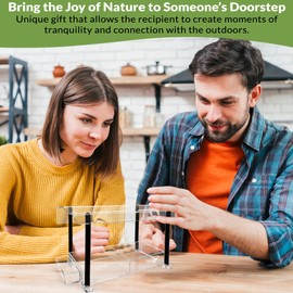 Nature Gear Acrylic Clear Bird Feeders for Window Viewing, Weather Resistant & Easy to Clean with Sliding Tray, Clear Window Bird Feeder with Strong Suction Cups, Column