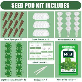 Mint Seed Pods for AeroGarden, Ahopegarden, GARDENCUBE, iDOO and All Hydroponics Growing Systems, 12 Pods Herb Kit with 800+ Seeds of Mint, Grow Your Own Herb Garden at Home