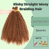 XIIMENALU Kinky Straight Wavy Braiding Hair for Boho Braids, Wet