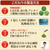 大日ヘルシーフーズ 青汁の和 6袋（3g×10包） 乳酸菌 大麦若葉 桑の葉 明日葉 配合 スティックタイプ 青汁