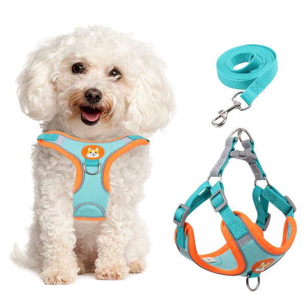 Small Dog Harness No Pull, Adjustable Dog Harness and Leash
