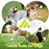 ZIYIZE Mini Tennis Balls, 6 Pack 2 inch Dog Tennis