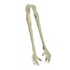 Claw Style Ice Tong Stainless Steel Hand Polished Eagle Claw