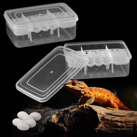 2 Pack Reptile Breeding Box 16 Grids Egg Hatching Incubator for Hatching Egg, Snake, Lizards, Turtle, Lions Mane, Gecko Without Thermometer (White)