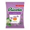 Ricola Holunderblüten Beutel, 75 g