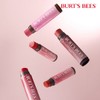[Burt's Bees] Tinted Lip Balm 4.25g Choose One from 3 Types