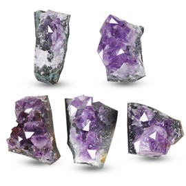 Soulnioi Natural Amethyst Crystal Cluster Irrgular Stone Purple Quartz Geode for Home Decor(5pcs 10g）