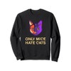 Only Mice Hate Cats Sayings Cat Lover Quotes Kitten Cat