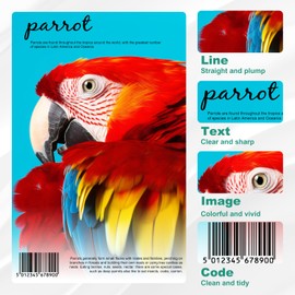 GI-21 Refill Bottles Replacement for Canon GI-21 GI21 Ink Bottles Refills for Canon G3270 G3260 G4270 G2260 G2270 G1220 G1230 G3262 MegaTank Printer(Cyan Magenta Yellow)