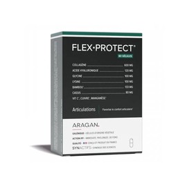 아라간 시액티브 플렉스 프로텍트 조인트 60 캡슐 Aragan C-Active Flex Protect Joint 60 Capsules