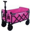 Unbranded Expandable Dual-Layer Utility Wagon Grocery Cart for Camping, Shopping