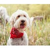 3 Pcs Plain Cotton Pets Dogs Bandana Triangle Shape -