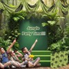Moukeren 3 Pcs 36 ft Rainforest Palm Leaves Decorations for