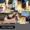 All in One No Pull Leash/Harness - Lead Me Leash