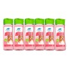 Shampoo Animal Planet Para Perro Desenredante 610ml 6pzas Fresa