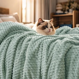 PHF Ultra Soft Flannel Fleece Throw Blanket, Lightweight 3D Jacquard Fleece Blanket, No Shedding, No Pilling, Luxury 340GSM Aesthetic Fluffy Cozy Throws for Couch Room Decor, 50"x60", Sage Green