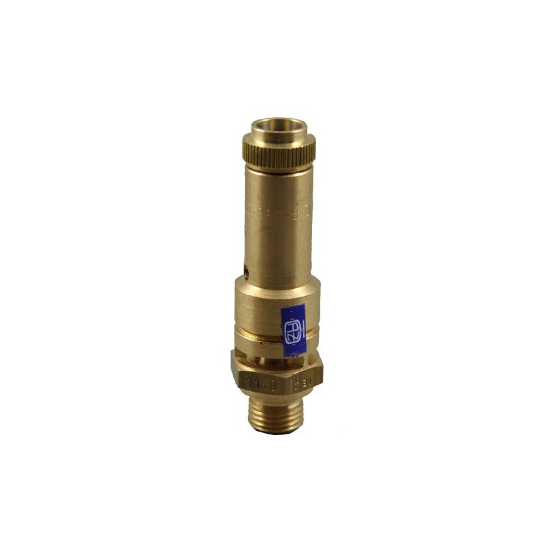 TÜV Safety Valve Pressure Relief Valve Compressor 11 Bar G
