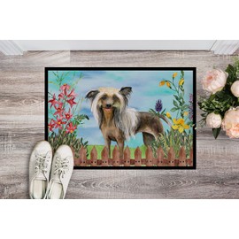 Caroline's Treasures CK1221MAT Chinese Crested Spring Doormat 18x27 Front Door Mat Indoor Outdoor Rugs for Entryway, Non Slip Washable Low Pile, 18H X 27W
