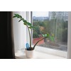 Royal Gardineer Plant Sensor: Smart Plant Soil Moisture & Temperature