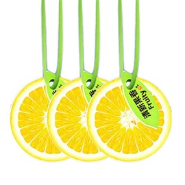 Elegant Car Air Freshener Spray for Women | Long-Lasting Natural Scent