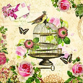 Serviette Napkins 33 x 33 cm Decoupage Technique Pack of 20 Vintage Bird Cage with Roses