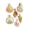 Old World Christmas Hanging Ornament - Assorted Sea Shell Set