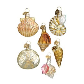 Old World Christmas Hanging Ornament - Assorted Sea Shell Set