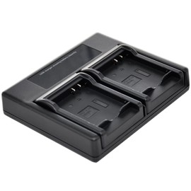 BTBAI Battery Charger USB Dual for BP-DC4 BPDC4 BP-DC4-E BP-DC4-J BP-DC4-U BP-DC4E BP-DC4J BP-DC4U C-LUX1 D-LUX4 D-LUX2 D-LUX3 Digital Camera cga-s005 s1a