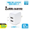 Ohm Electric AudioComm AC Charger 2.4A 12W Type-A x 2