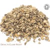 Organic Devil's Claw Root Pure Herbal Infusion (25 Unbleached Tea