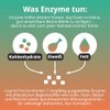 n:zymX Pro - Enzyme Complex with Inulin, Rutin & Fennel