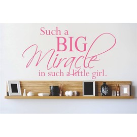 Design with Vinyl 2015 BS 223 "Such A Big Miracle In Such A Little Girl New Born Baby Nursery" Wall Decal, 14" x 30", Pink