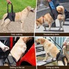 Infreecs Dog Lifting Harness for Back Legs, Dog Support Harness