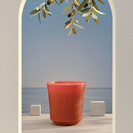 Bougies La Francaise - Wax Candle Holder - Citronella - Made in Tunisia, Medium Sienna Color, +/- 55-Hour Burn Time - ‎5.12 x 5.31 inches