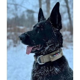 Boss Dog Tactical Collar, Tan Camo, Large