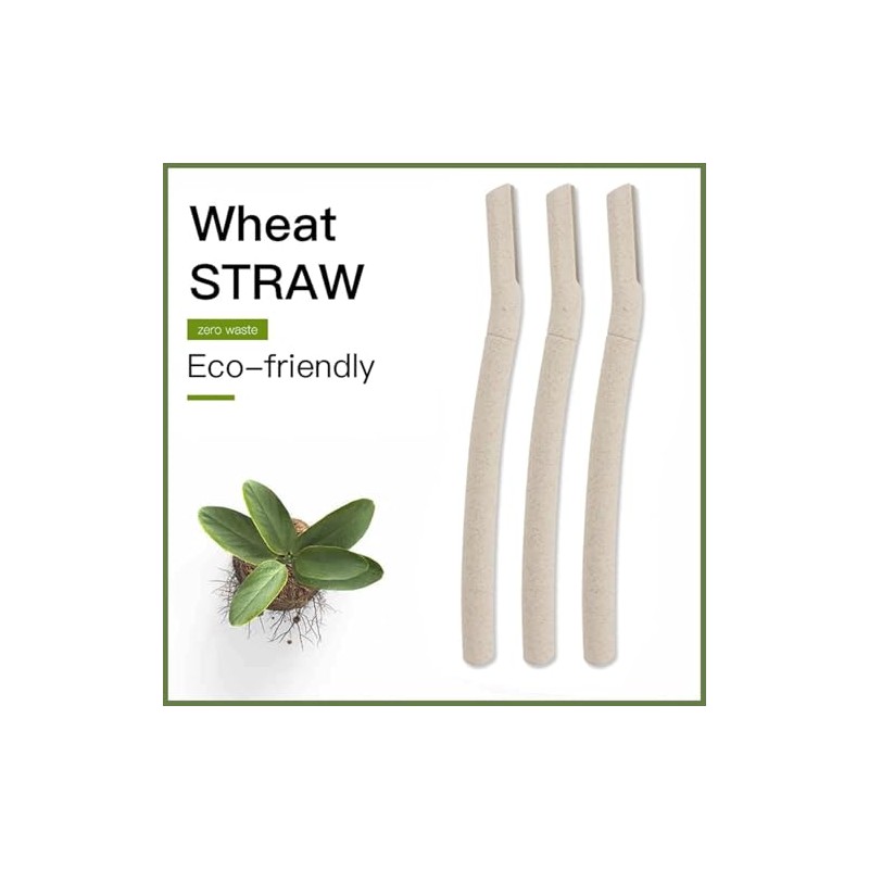 Nord Biodegradable Eyebrow Razors, 3 pcs/box