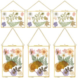 6 Pieces Pressed Flower Glass Picture Frames 6 x 4 Inch Brass Hanging Double Glass Frame Gold Floating Photo Frame Clear Horizontal Vertical Frames with Chain for Gallery Vintage Artwork Display