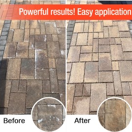 Tenon Paver Wash - Clean Pavers, Concrete, Brick, Stones, and More, Removes Stains, Outdoor or Indoor (1 Gallon, 1)