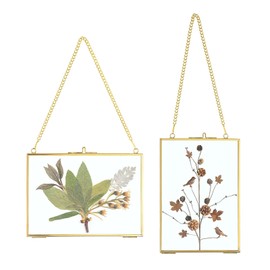 SUMTree 2 x Glass and Metal Picture Frames, Hanging Glass Photo Frame, Plant Sample Clip, for Pressed Flowers, Photos, Glass Frame Only (Gold, 13 x 18 cm, Rectangular)