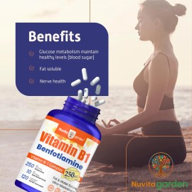 NuvitaGARDEN (3 Pack) Vitamin B1 250mg, 360 Vegetrian Capsules (3 Bottles) Vitamin B1