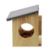 Esschert Design WA56 Squirrel Observation Feeder