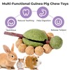 mini&moe Hamster Chew Toys for Teeth – Guinea Pig Chew