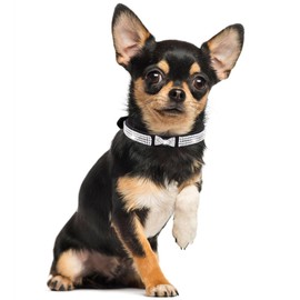 Rhinestone Dog Collar for Small Dogs, Fancy Bling Diamond Crystal Dog Collar Glitter Jeweled Girl Puppy Cat Collars for XXS XS Small Medium Large Dogs (Hot Pink,S)