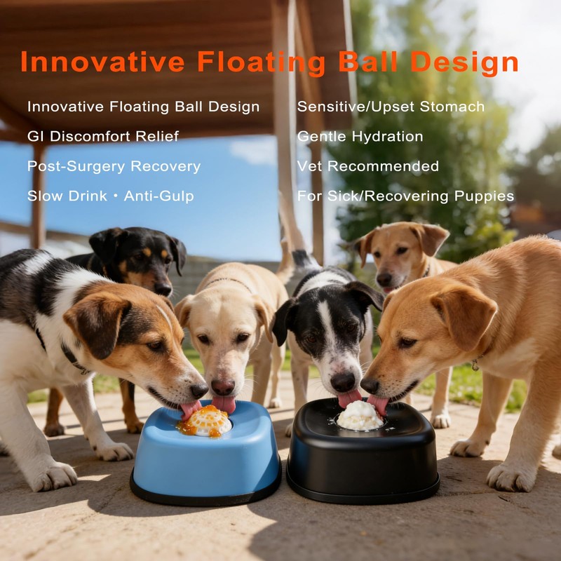 RAINWOOD Liquid Slow Feeder Dog Bowl with Floating Ball, Dog