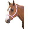Shires Adjustable Pony/Horse Headcollar - Pink Extra Full