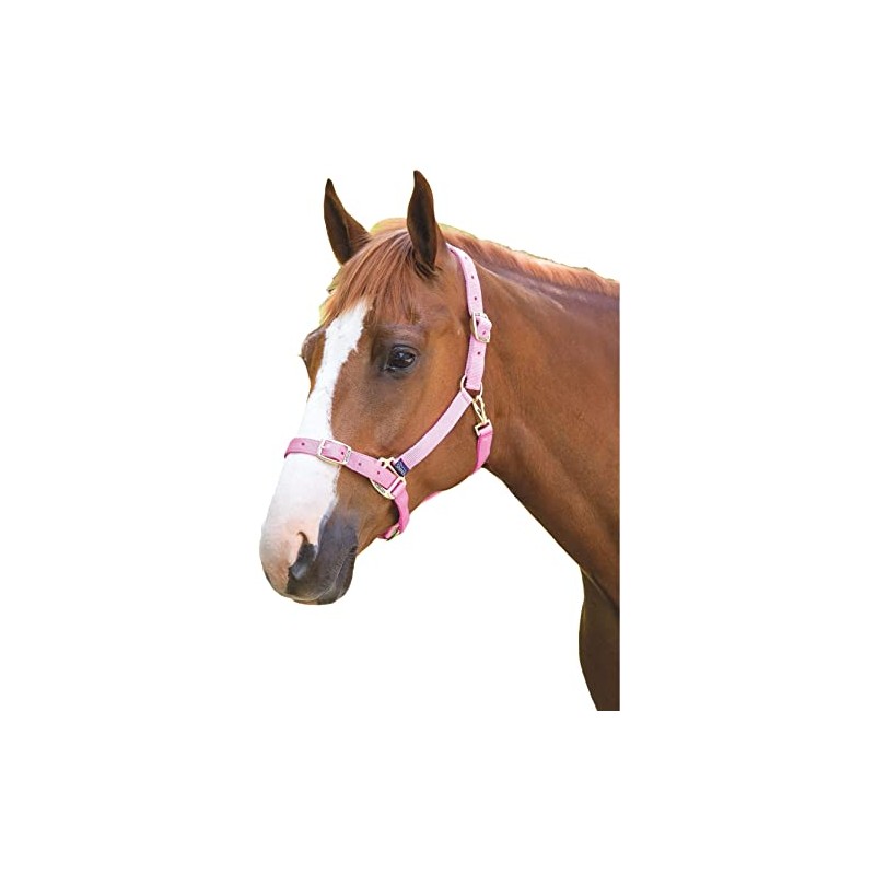 Shires Adjustable Pony/Horse Headcollar - Pink Extra Full