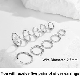 JEYORZY 5 Pairs Stainless Steel Hoop Earrings for Men and Women - Silver-Coloured Earrings in Sizes from 8 - 16 mm - Hoop Earrings for Men and Women
