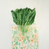 Bestco Cogit Vegetables Fruits Freshness Retention Reusable Bags Veggie Shaki-chan